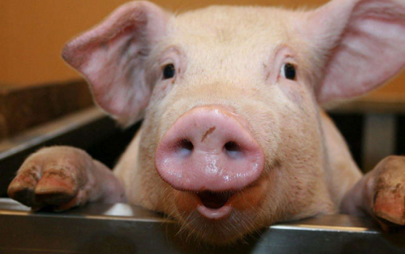 1614817008700965.png image.png